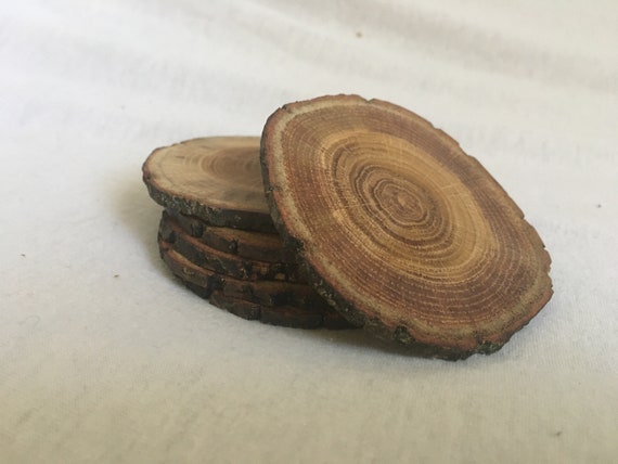 Thin Mini Slice Wood Coasters Set of 6 Rustic Natural Log Wooden Farmhouse  Table Decor in Office Dinning Kitchen Room Tu B'shvat Gift 