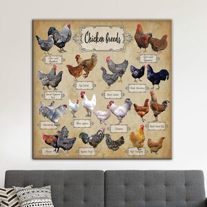 Chicken Breeds Print, Poultry Wall Art, Kitchen Decor, Chicken Types  Canvas Print, Farmhouse Wall Hanging Decor, Chicken Knowledge Wall Art