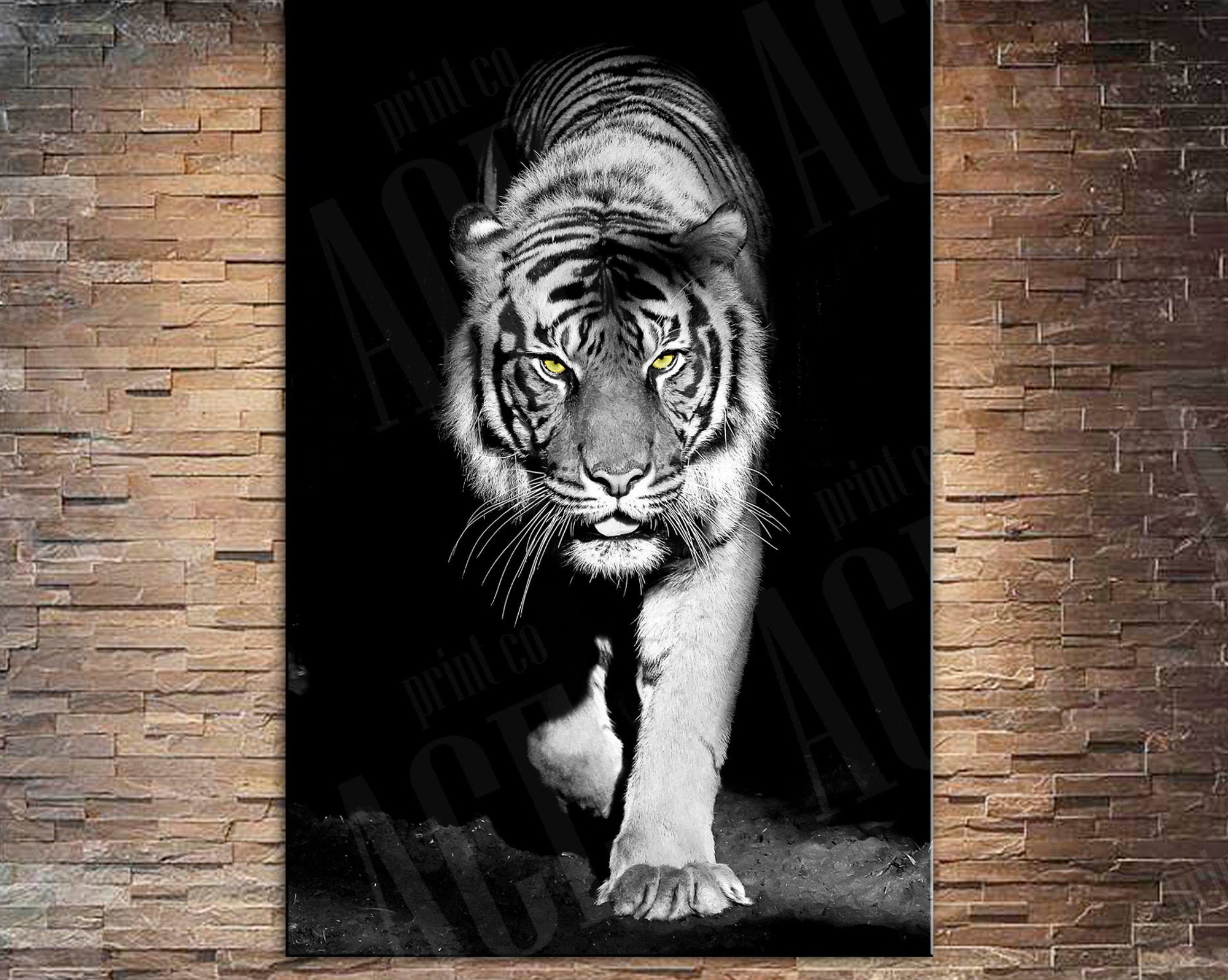 Discover Lienzo Animal Tigre Blanco y Negro