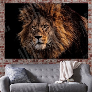 Lions canvas, African Lion Canvas, Lion Print