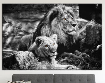 African Lion Couple Canvas Print: Wildlife Wall Art