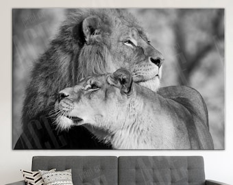 African Lion Couple Canvas Print: Wildlife Wall Art