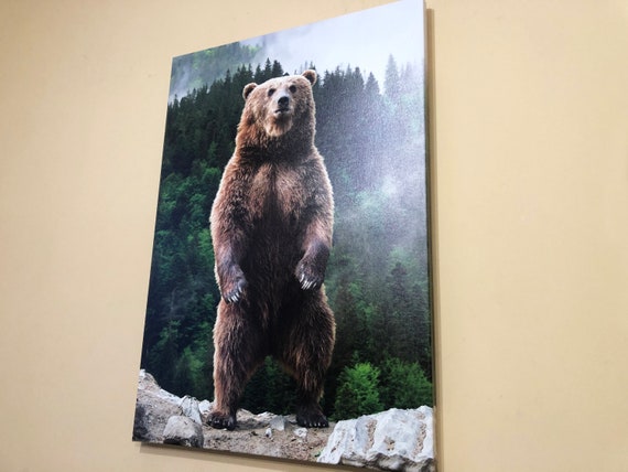 Big Bear Print Bear Forest Canvas Bear Forest Wall Art - Etsy 日本