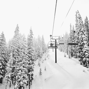 Puede incluir: Una foto en blanco y negro de un telesilla subiendo una montaña nevada. El telesilla está rodeado de altos pinos cubiertos de nieve.