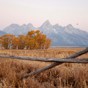 Grand Teton Nationalpark Druck, Fotografie Kunstdruck, digitaler Download Foto, Reise-Fotografie-Druck, Nationalpark Druck