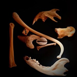 May include: A collection of bones, shells, and a dice arranged in a decorative pattern on a black background.
