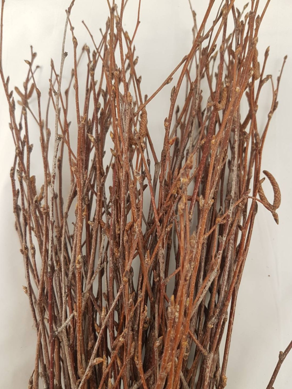 Set of 50 white birch branches Birch twigs for centerpiece. Etsy