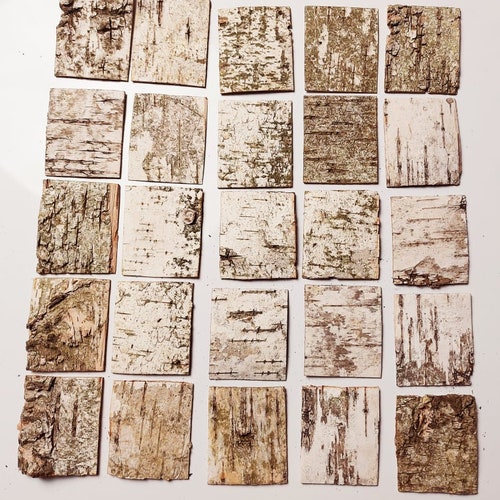30 White Birch Bark Sheets. Birch Bark Decor.birch Sheets Etsy