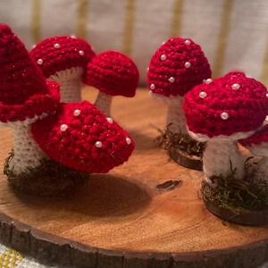 Mushroom, crocheted, cute gifts, toadstool decor, amigurumi in a giftbox