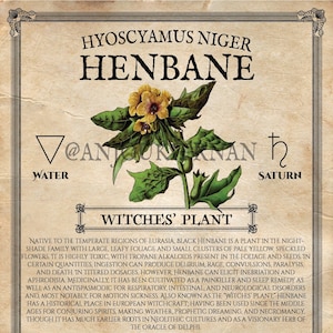 May include: A vintage botanical illustration of Henbane, a poisonous plant also known as Witches' Plant. The image features a detailed depiction of the plant with its yellow flowers and green leaves. The text "Hyoscyamus Niger Henbane" is displayed at the top of the image, along with the astrological symbols for Water and Saturn.