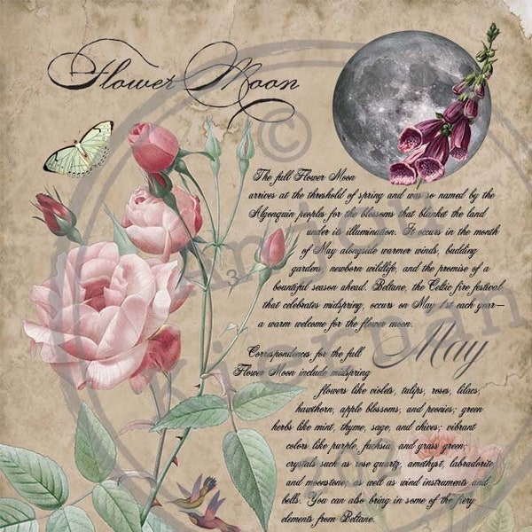 FLOWER MOON Grimoire Page ~ Printable PDF Digital Download for Seasonal Full Moons ~ Lunar Magick, Celestial Witch, Book of Shadows