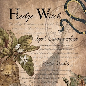 May include: A vintage style illustration of a hedge witch with a snake, flowers, and plants. The text reads "Hedge Witch" and describes the witch's connection to nature, spirit communication, poison plants, and divination.
