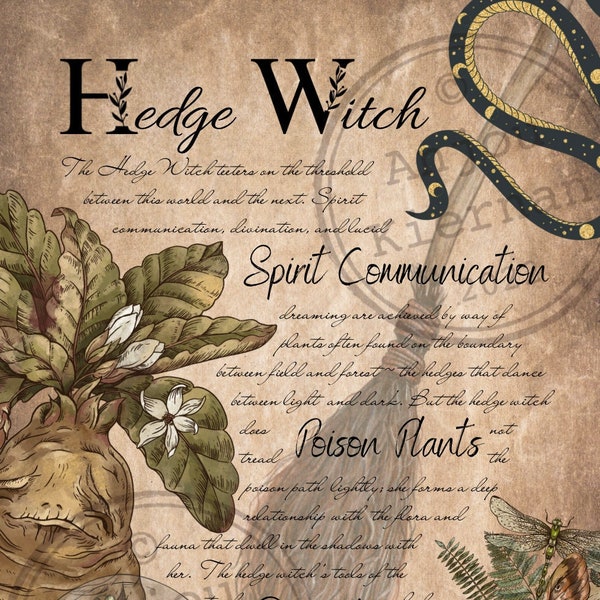 HEDGE WITCH Grimoire Page ~ Printable PDF Digital Download for Shadow Witchcraft ~ Poison Plants, Divination Magic, Flying Book of Shadows