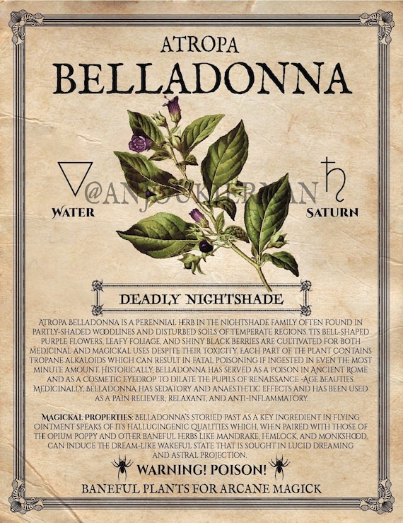 ATROPA BELLADONNA Grimoire Page ~ Printable PDF Digital Download for Poison Herbs ~ Baneful Plants for Arcane Magick
