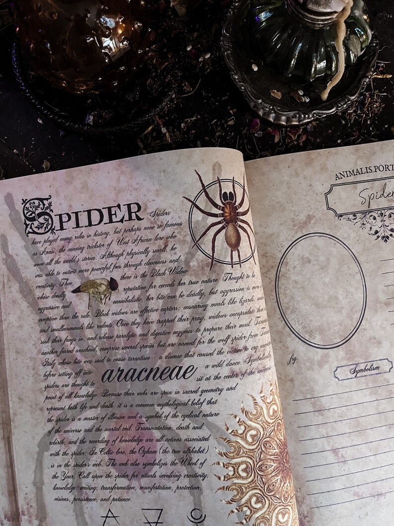 SPIDER Grimoire Page Printable PDF Digital Download for - Etsy