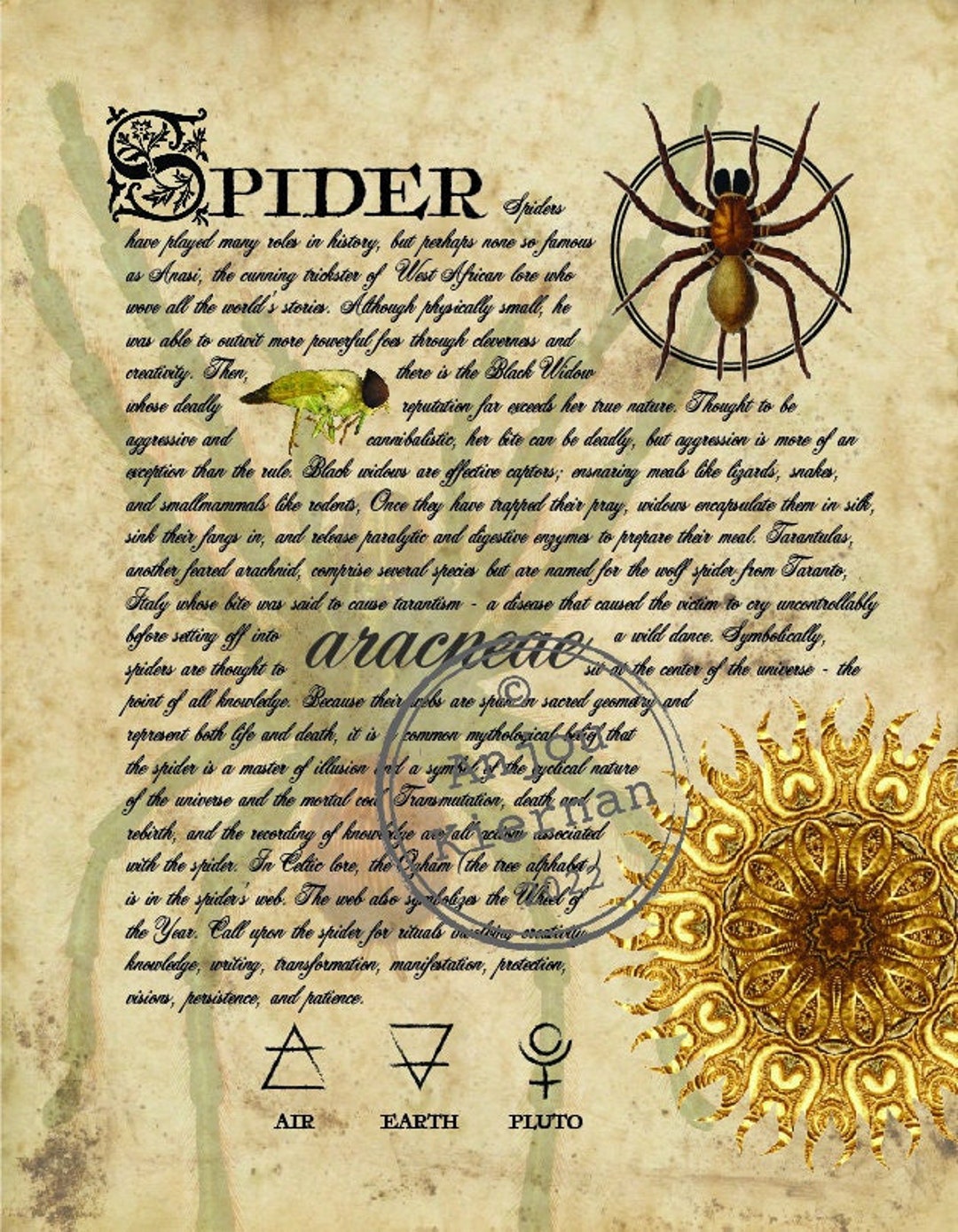 SPIDER Grimoire Page Printable PDF Digital Download for - Etsy
