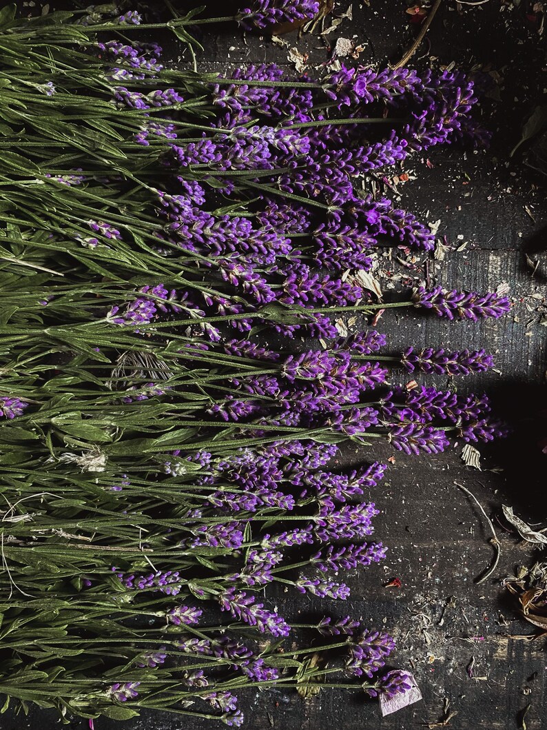 Puede incluir: Un ramo de flores de lavanda con flores moradas y tallos verdes sobre una superficie de madera oscura.