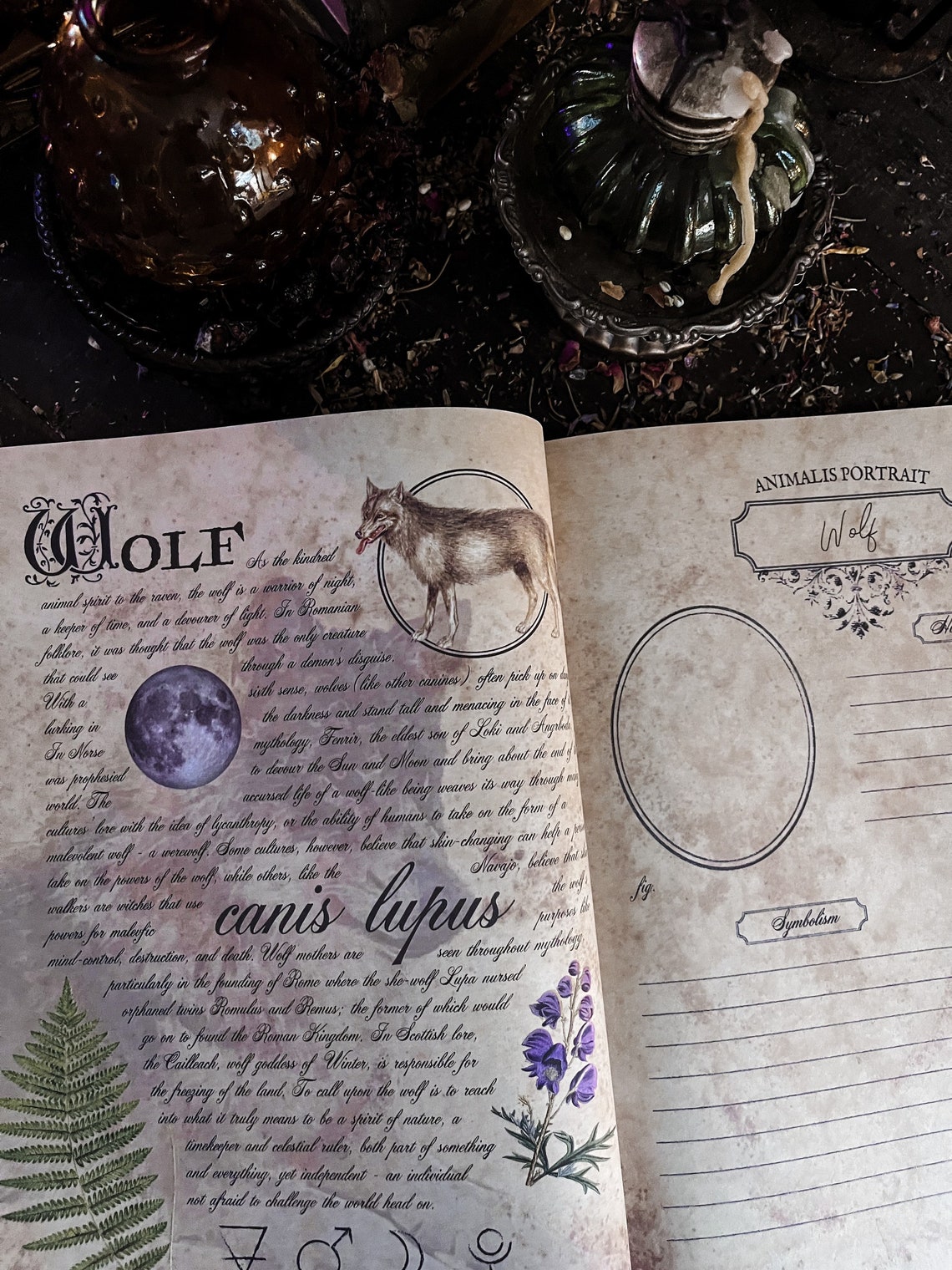 WOLF Grimoire Page Printable PDF Digital Download for Familiars Animal ...