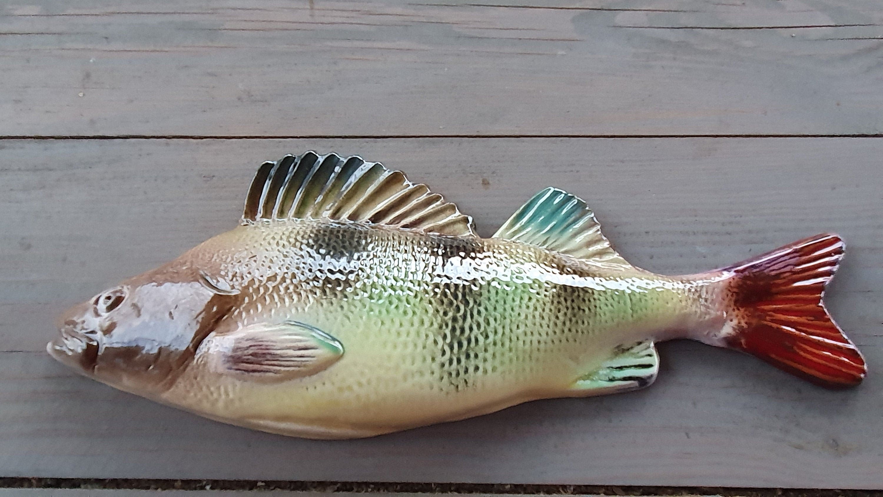 Perch For Sale Near Me