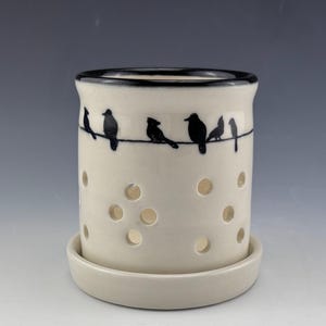 May include: White ceramic planter with black bird silhouettes on a wire, featuring drainage holes and a matching saucer.