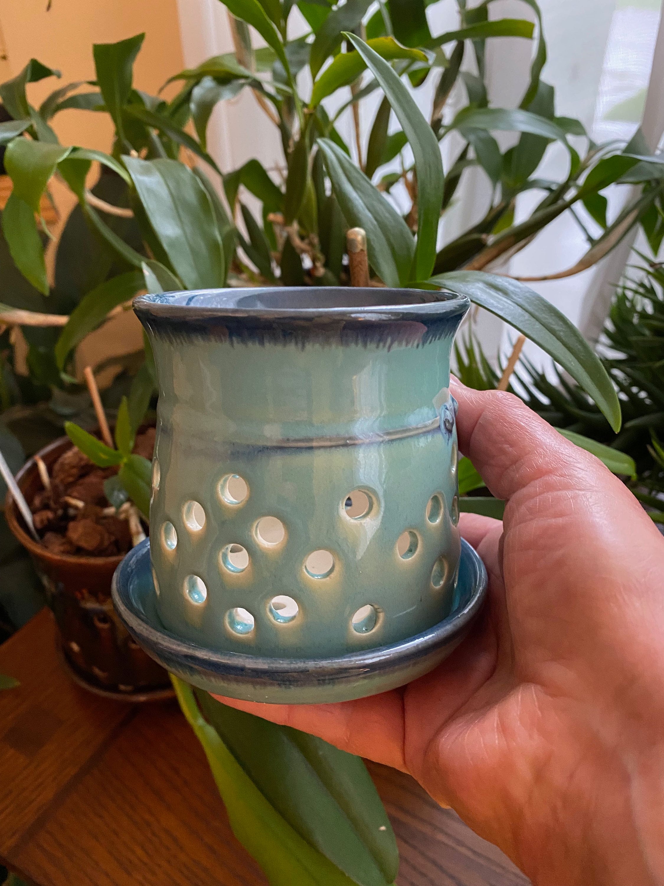 Orchid Pot Minis Orchid Pots for Keikis Small Orchid Pots Etsy Canada