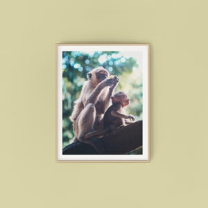 Bali Print - Jungle Photography - Monkey Photo