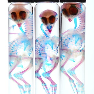 Full Purple Stain Quail in X-Tall Vial: oddity and curiosity/diaphonization from Nighttime Nicholas