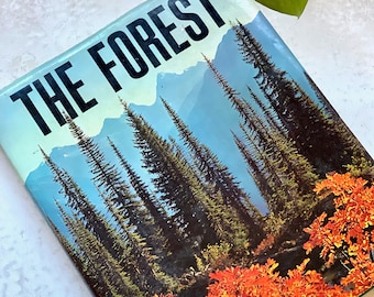 Vintage &#39;The Forest&#39; Book: 1973 English Edition, Walter Kümmerly