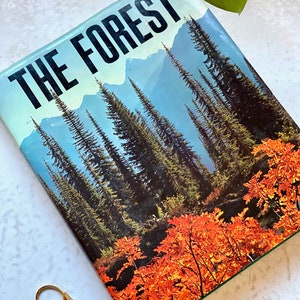May include: A book cover displaying the title "THE FOREST" in bold black text. The cover art depicts a forest scene with tall evergreen trees, mountains, and bright orange autumn foliage. The sky is a pale blue.