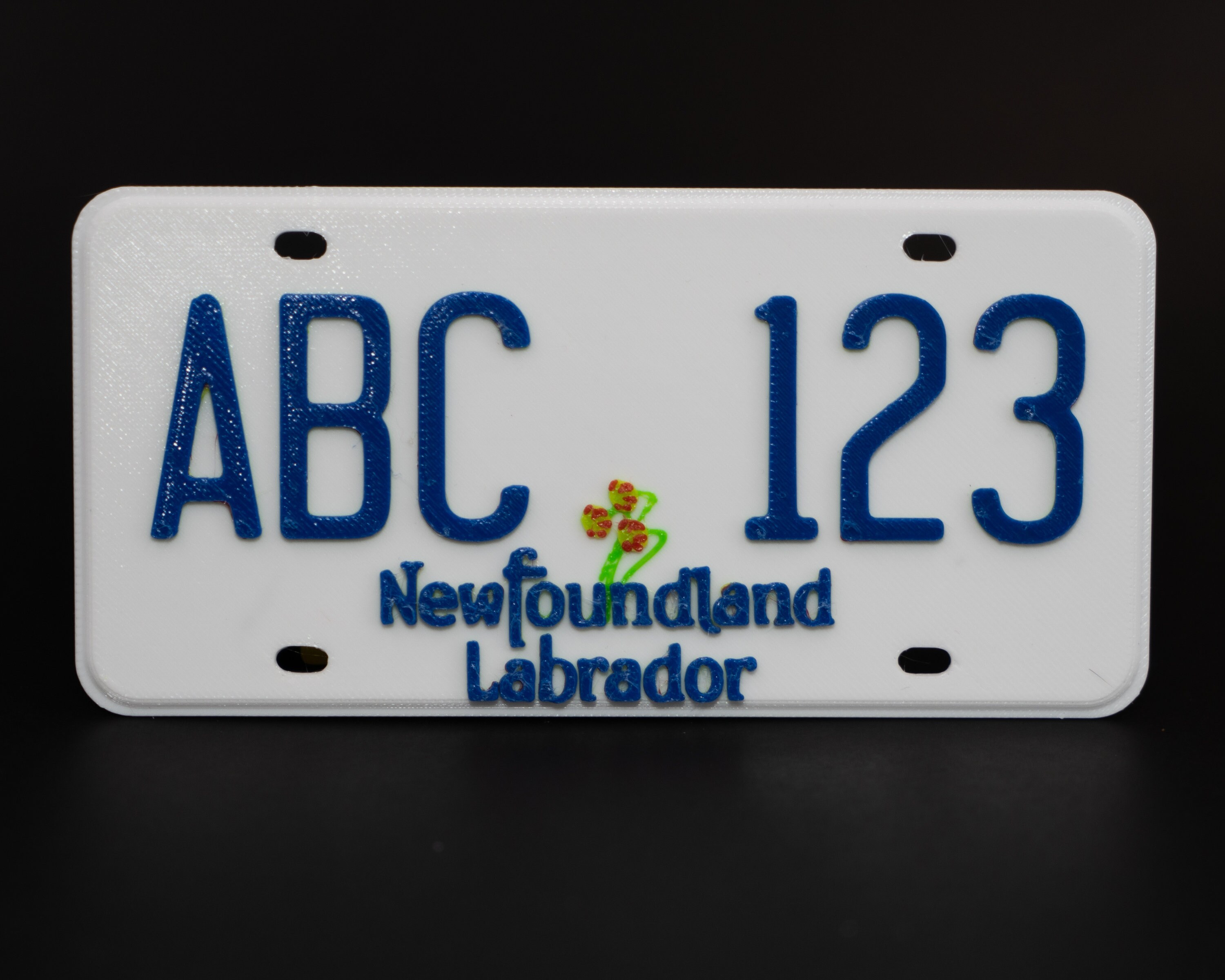 Mini Newfoundland License Plates - Etsy