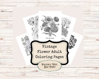 Flores vintage, páginas para colorear para adultos, impresión digital, descarga instantánea imprimible