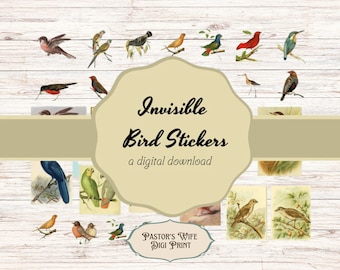 Pegatinas de pájaros vintage: Sellos digitales de estilo victoriano (descarga instantánea)
