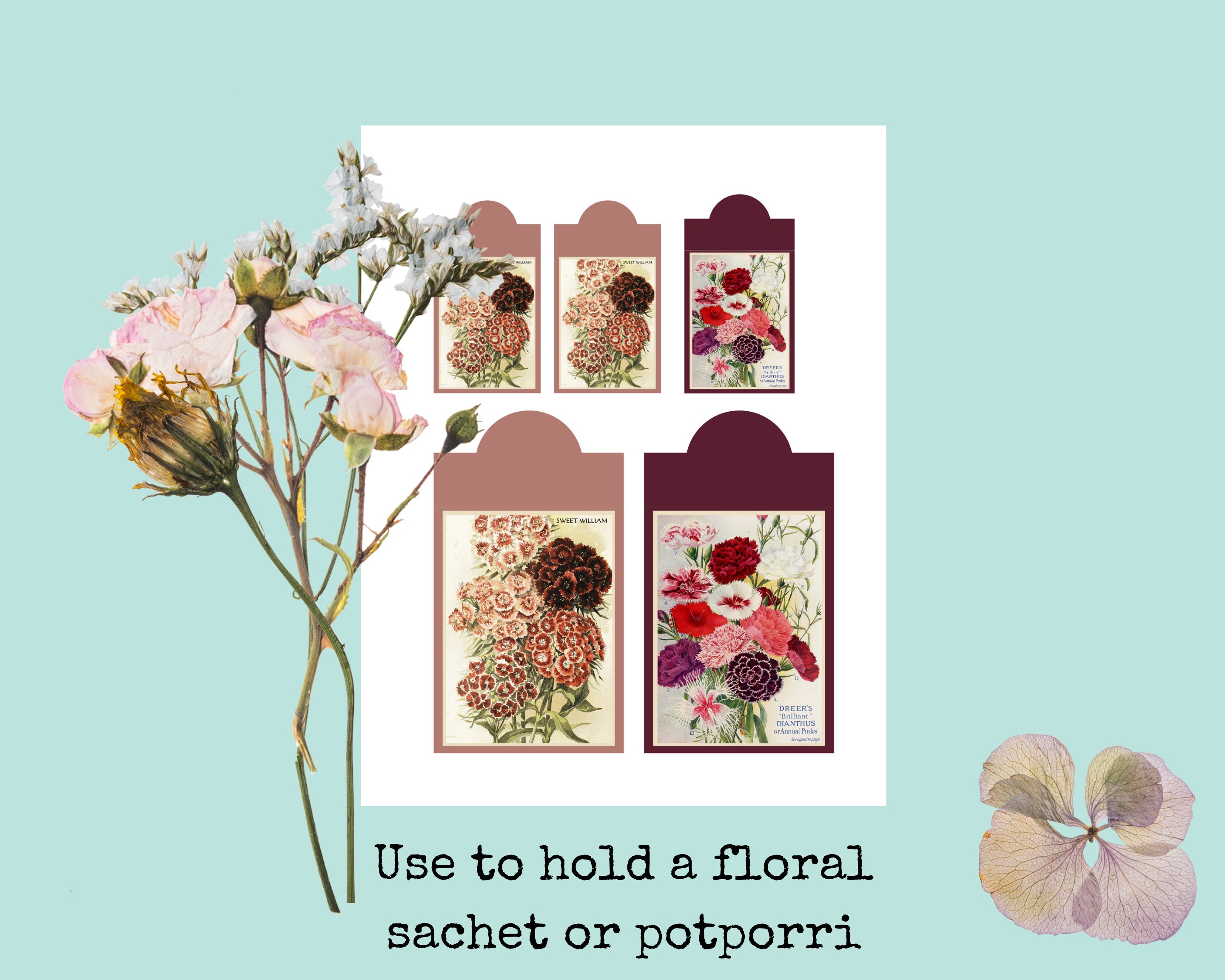 Vintage Seed Packets Digital Printable Instant Download | Etsy