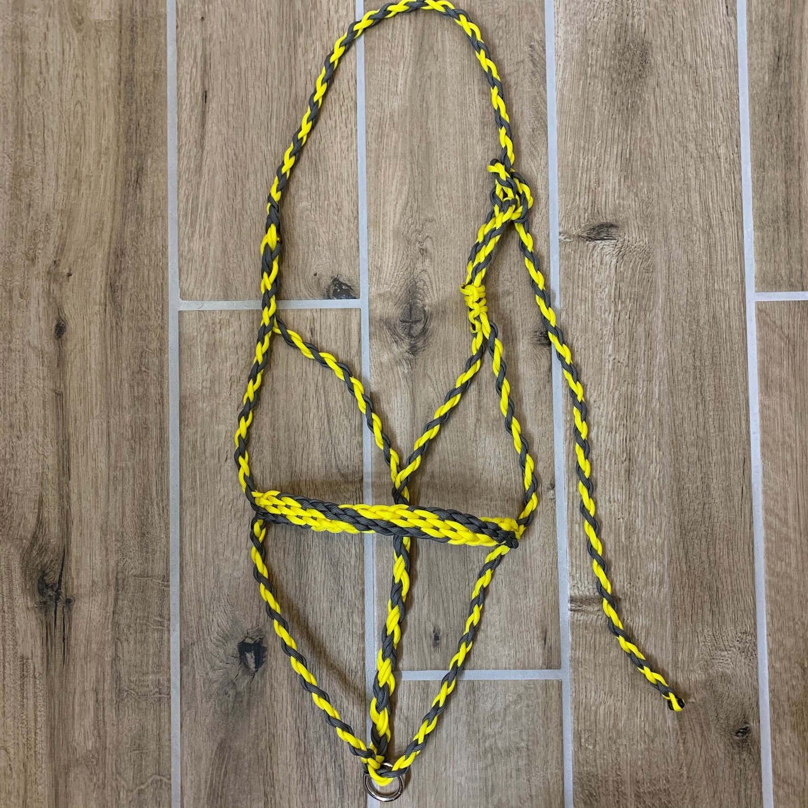 CUSTOM Braided Paracord Rope Halter Etsy