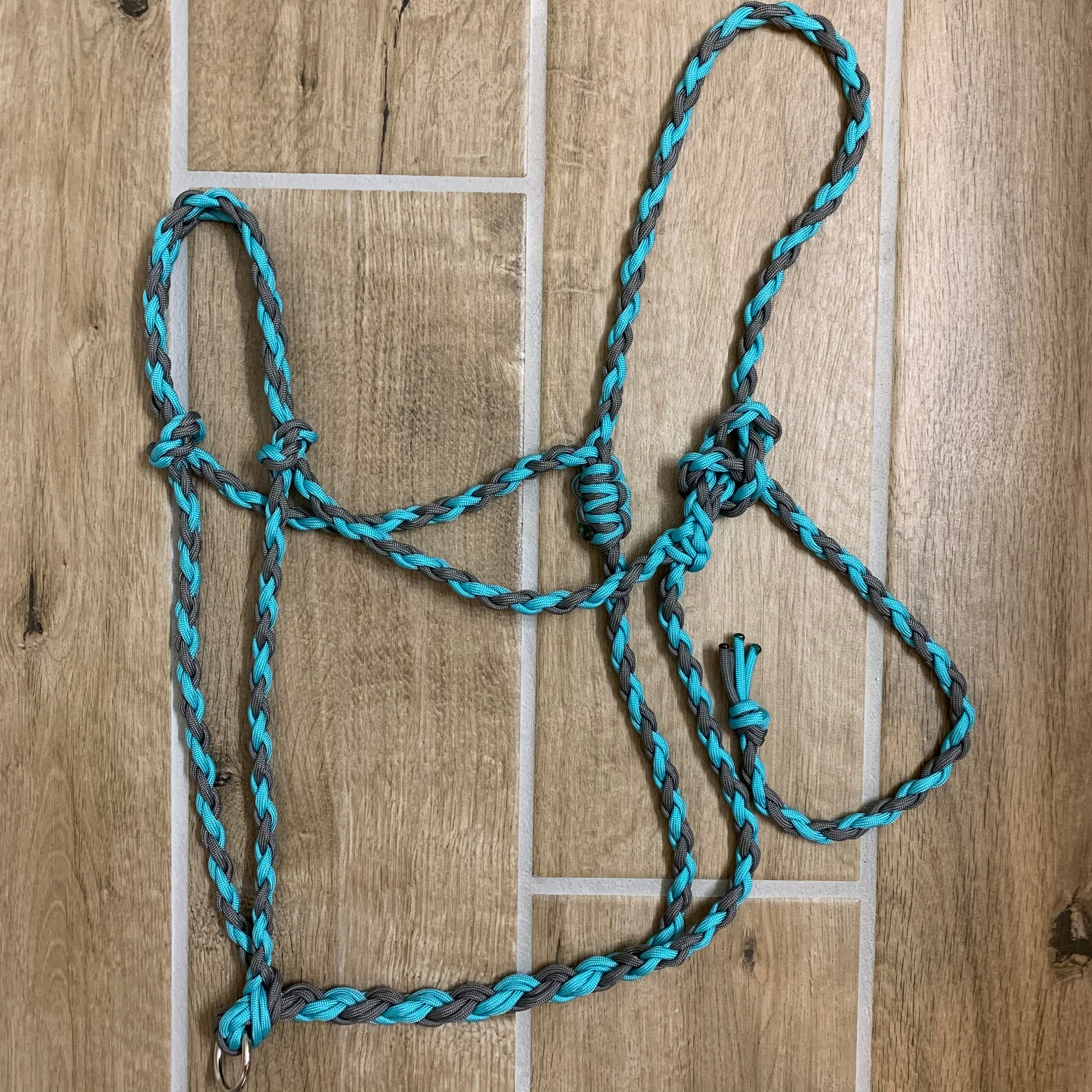 CUSTOM Braided Paracord Rope Halter Etsy