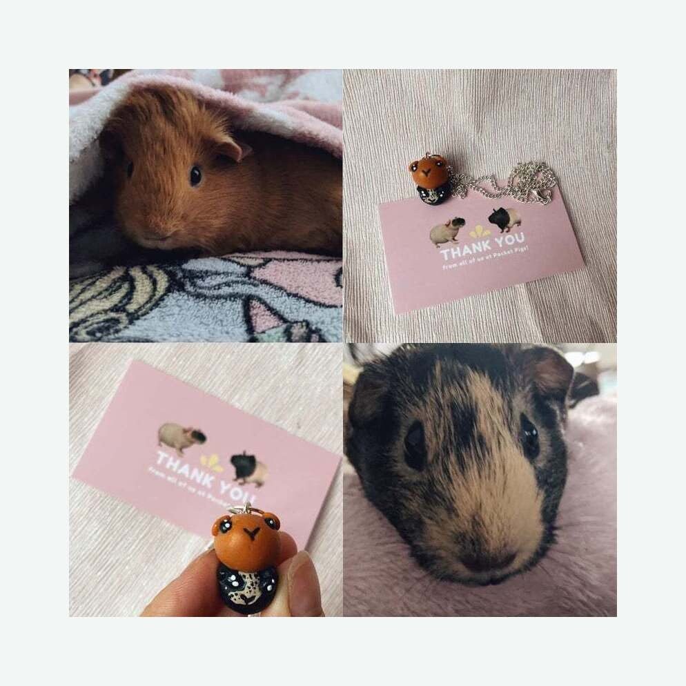 Guinea Pig Necklace Custom guinea pig gift Pet necklace Etsy