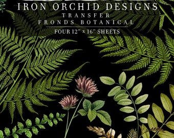 Fronds Botanical Decor Transfer (pad of 4 12"x16" sheets) by IOD - Iron Orchid Designs