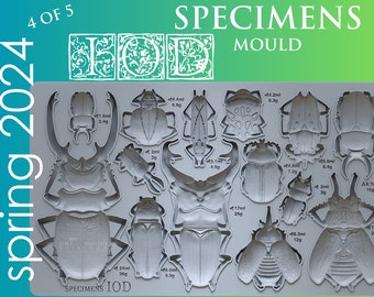 Specimens Mould by IOD - Iron Orchid Designs