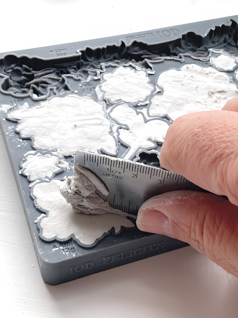 Felicite Mould by IOD - Iron Orchid Designs immagine 6