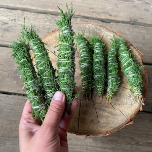 Puede incluir: Seis manojos de inciensos de cedro verde seco atados con cuerda. Los inciensos están dispuestos en círculo sobre una superficie de madera.