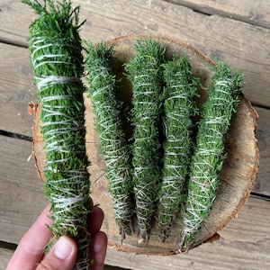 Può includere: Cinque mazzi di erbe verdi essiccate legate con spago, disposti su una superficie di legno. I mazzi misurano circa 15 cm di lunghezza.