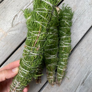 Juniperus Virginiana Stick for Smudging Ritual - Rookstick