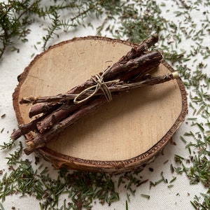 May include: A bundle of brown twigs tied together with twine, resting on a wooden slice. The wooden slice has a natural bark edge and is surrounded by green pine needles.