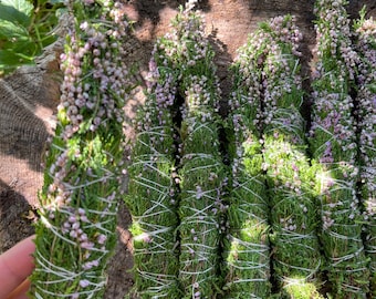 Può includere: Diversi fasci di erbe verdi essiccate con piccoli fiori viola, legati con spago bianco. I fasci sono disposti su un ceppo d'albero marrone e consumato. Lo sfondo presenta fogliame verde e luce solare.