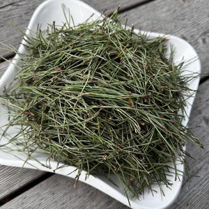 Gedroogde Pinus Sylvestris-naalden