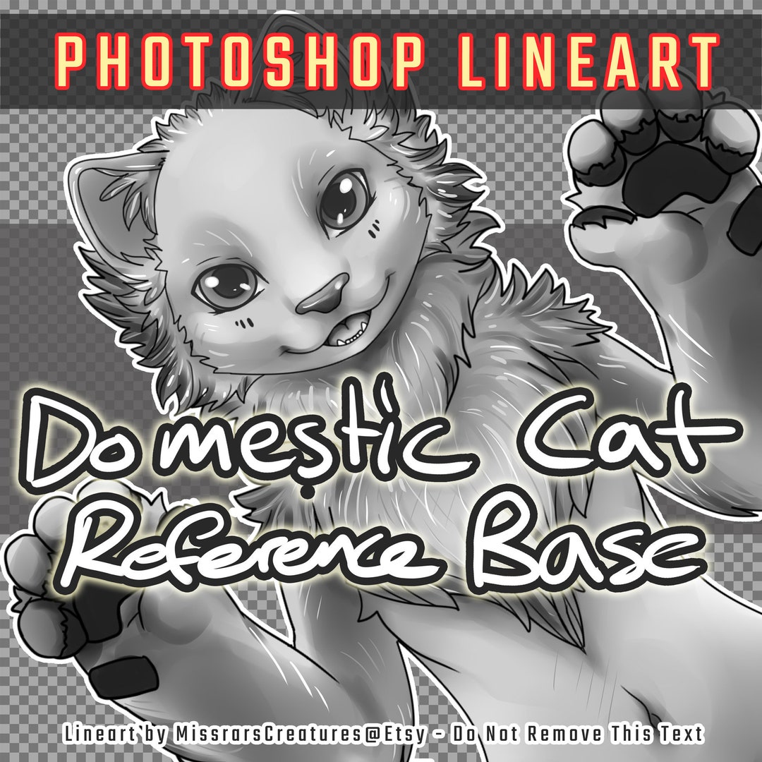 LINEART Kemono Domestic Cat Reference Base Fursuit Maker Friendly ...