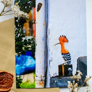 Postkarte - Streetart Vogel | Wiedehopf | by Street Artist N.M. | DIN A6