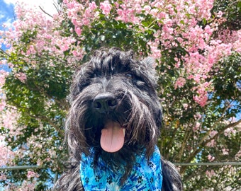 Blue Paw Print Tye Dye, Tye dye dog bandana, Tye dye cat bandana, paw print dog bandana, paw print cat bandana, blue dog bandana, summer