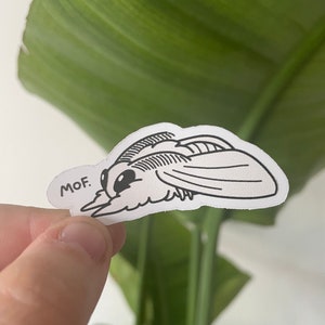 Moth sticker