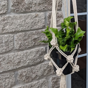 Macrame Plant Hanger